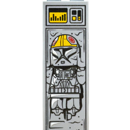 Clone Pilot in Carbonite