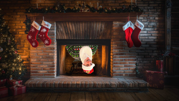 <h1>Final 2025 Holiday Sale</h1>